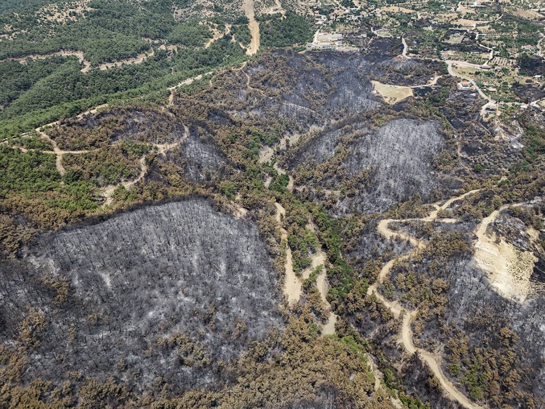 Kahreden manzara! Bornova'da yanan ormanlar dronla görüntülendi 4